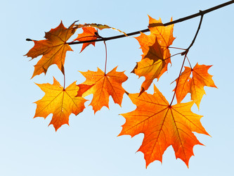 Similar image 7862320