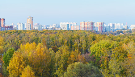 Similar image 7862322