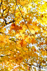 Similar image 7862328