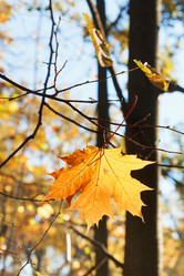 Similar image 7862331