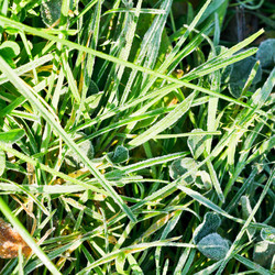 Similar image 7862348