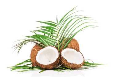 Similar image 7862349