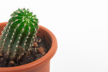 Similar image 7862355