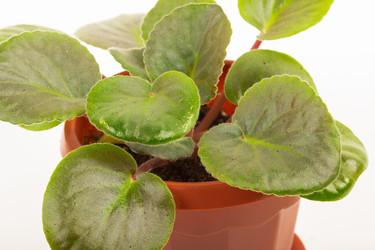 Similar image 7862363