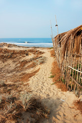 Similar image 7862513