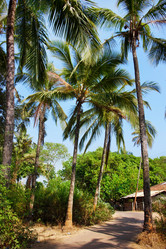 Similar image 7862515