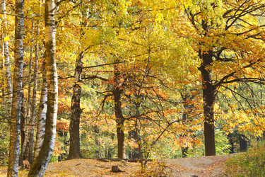 Similar image 7862532