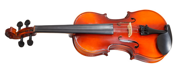 Similar image 7862537