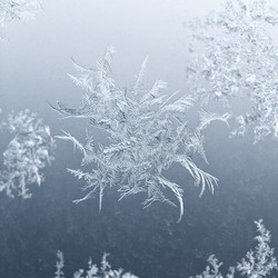 Similar image 7862538