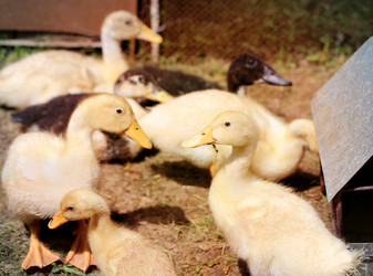 Similar image 7862656