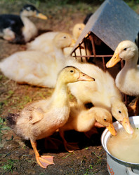 Similar image 7862657