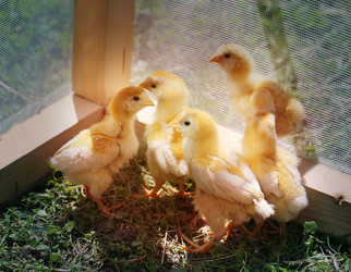 Similar image 7862659