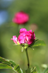 Similar image 7862661