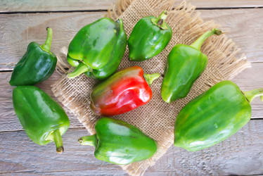 Similar image 7862768