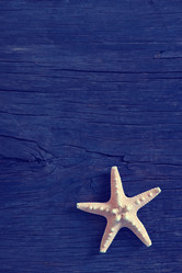 Similar image 7862835