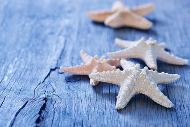 Similar image 7862852