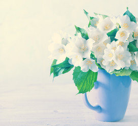 Similar image 7862856