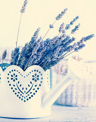 Similar image 7862870