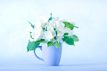 Similar image 7862871