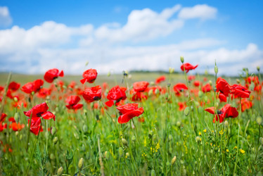 Similar image 7862910