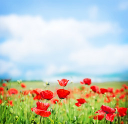 Similar image 7862911