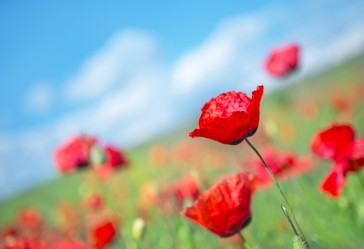 Similar image 7862916