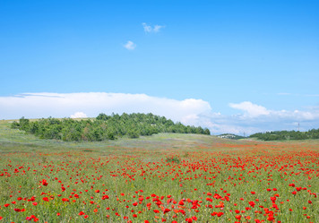 Similar image 7862917