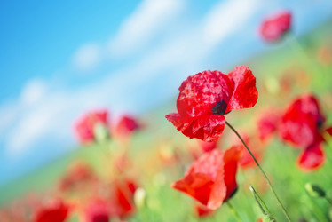 Similar image 7862918