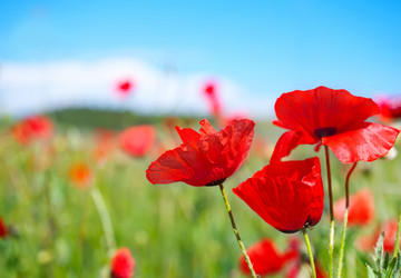 Similar image 7862921