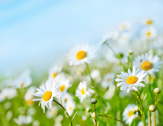 Similar image 7862923