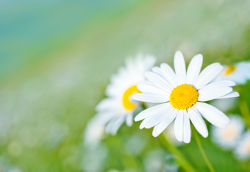 Similar image 7862928