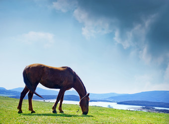 Similar image 7862949