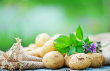 Similar image 7863032