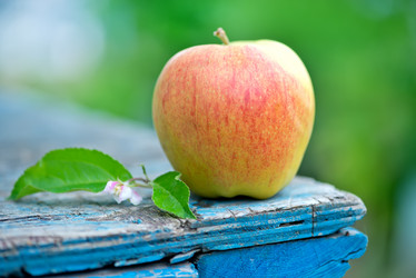 Similar image 7863042