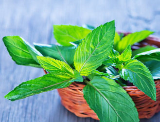 Similar image 7863222