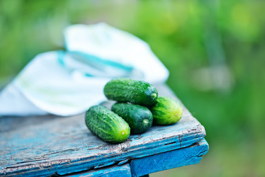 Similar image 7863280