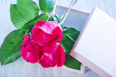 Similar image 7863449