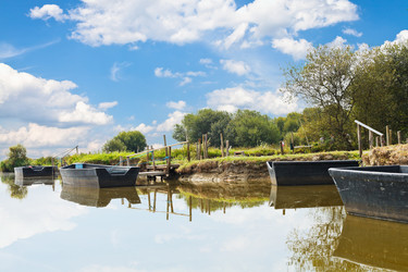 Similar image 7863525