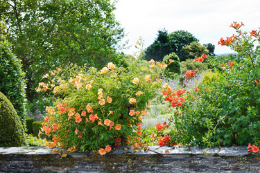 Similar image 7863559