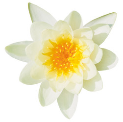 Similar image 7864196