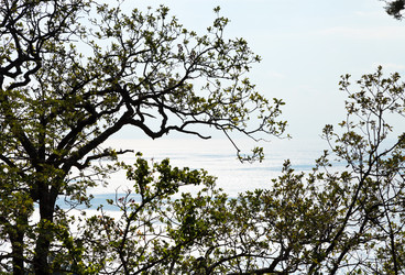 Similar image 7864206