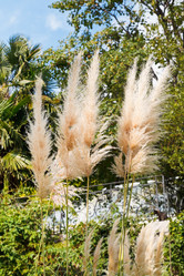 Similar image 7864210