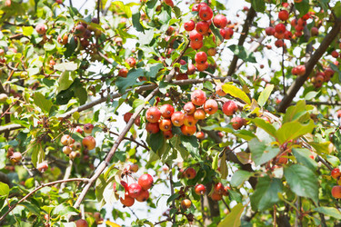 Similar image 7864214