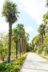 Similar image 7864216