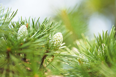 Similar image 7864236