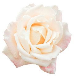 Similar image 7864260