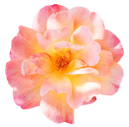 Similar image 7864265