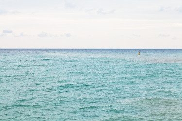 Similar image 7864290