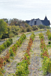 Similar image 7864302