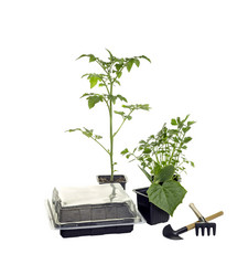 Similar image 7864379